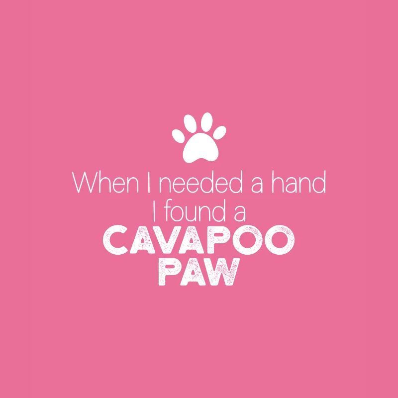 Hand Cavapoo Pfote