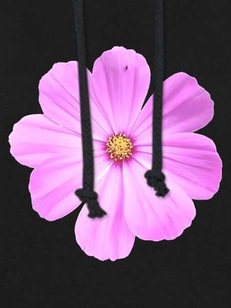 Blume