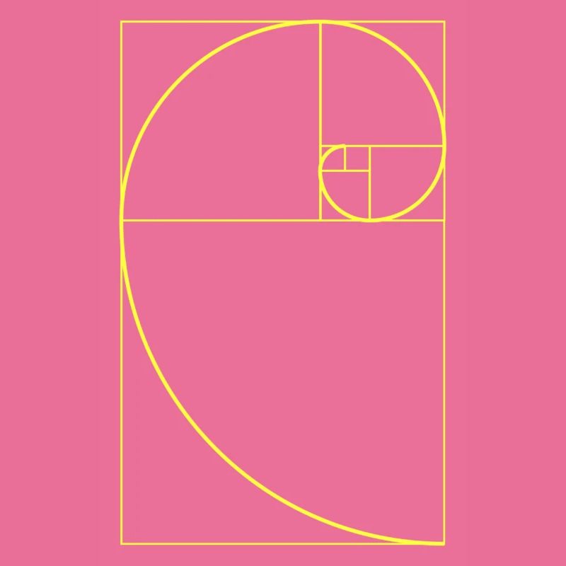 Fibonacci | Mathematics, geometry, cool designs