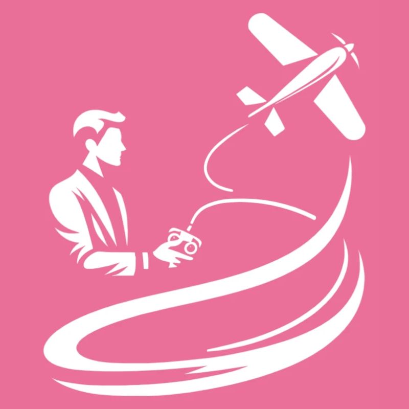 Flight with the remote-controlled plane