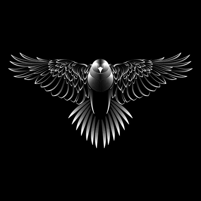 Wunderschöne Tiergrafik mit Bussard