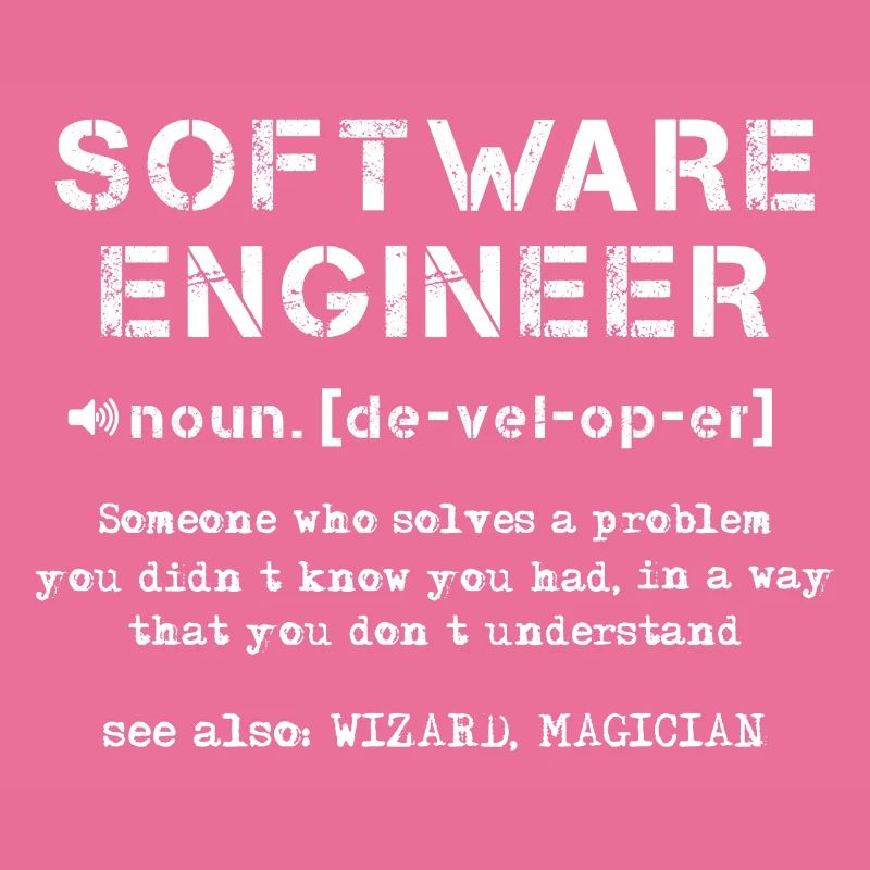 Software-Ingenieur Definition