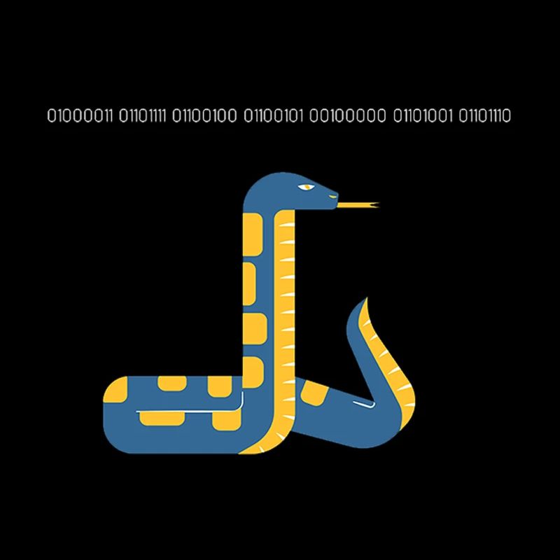 Code en Python dans la conception binaire de code binaire