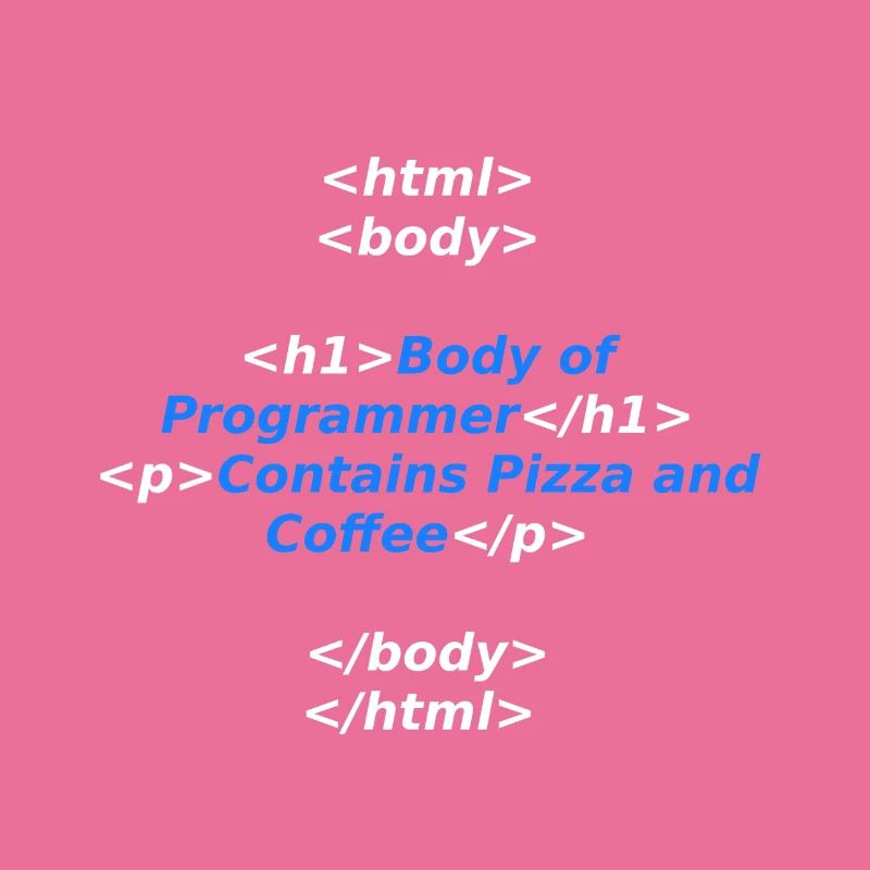 Programmierer