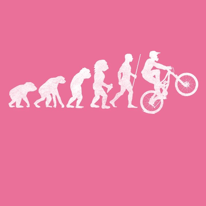 Bicycle Evolution Development Stone Age Leisure