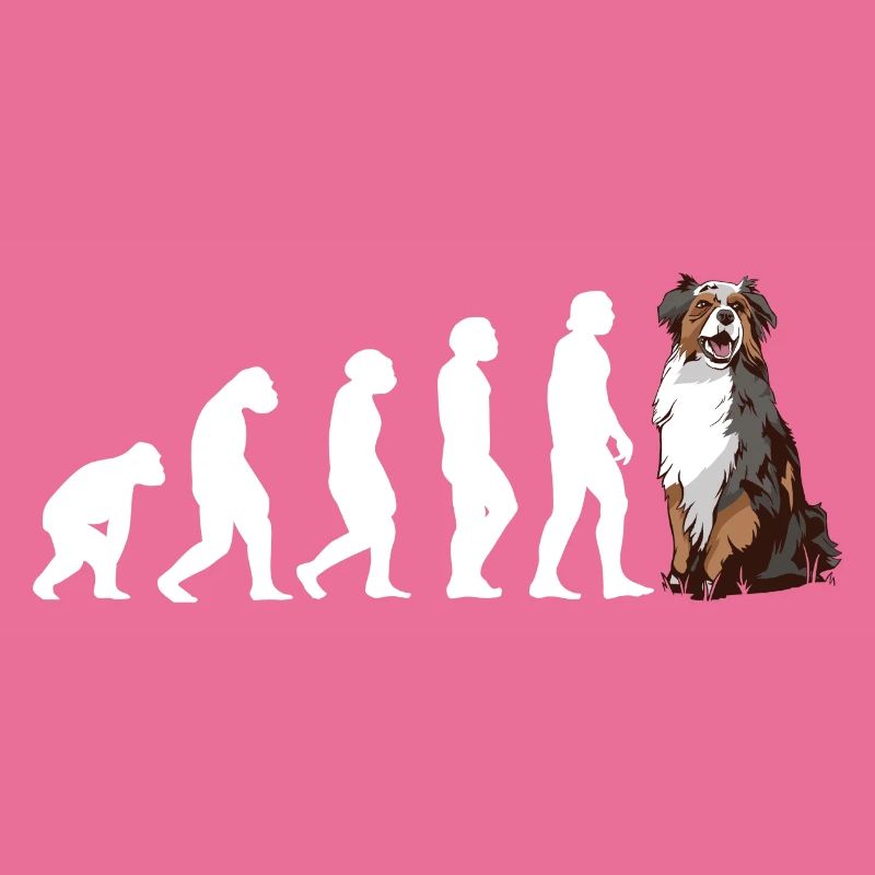 Dog Evolution Aussie
