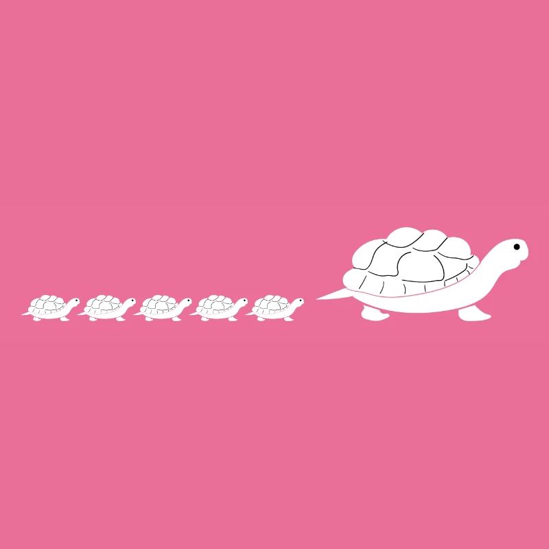 Turtle Turtle