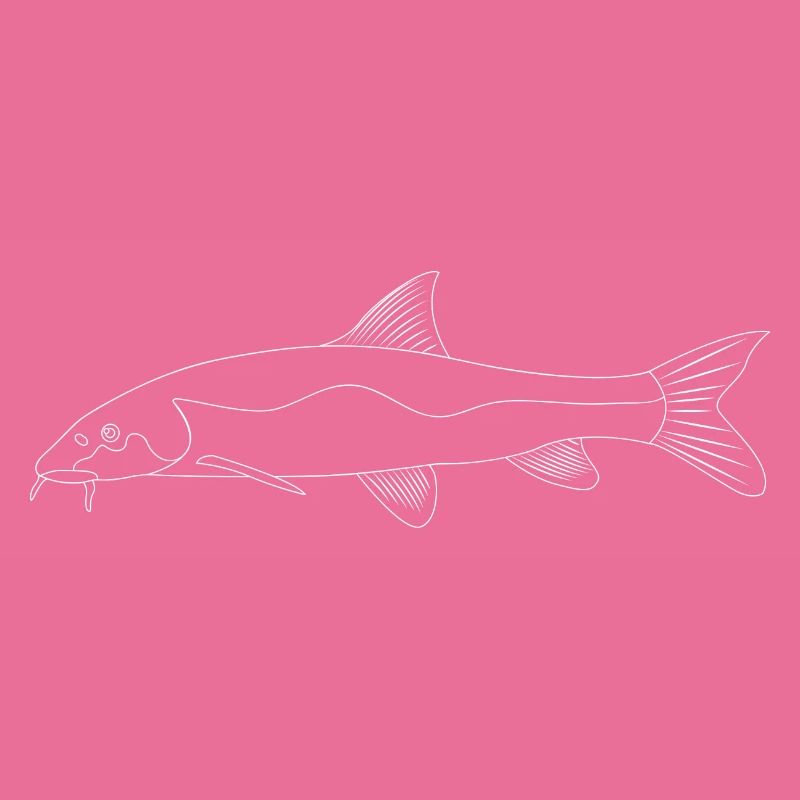 Barbe Fish