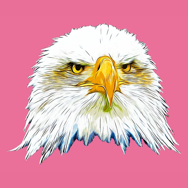gxp eagle bald eagle vector art