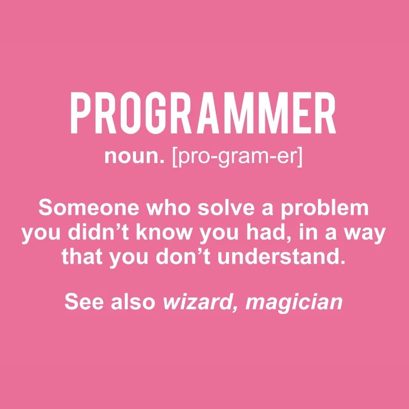 Programmer Definition Programer Shirt Gift