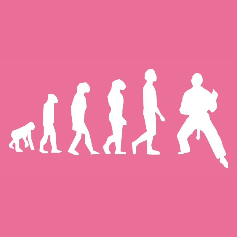 Art martiaux évolution