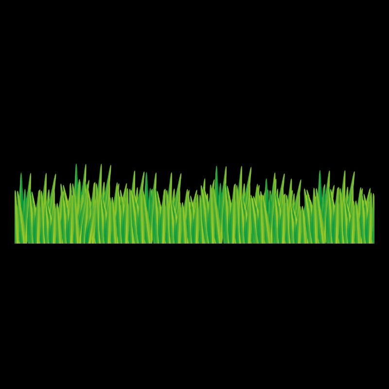 herbe