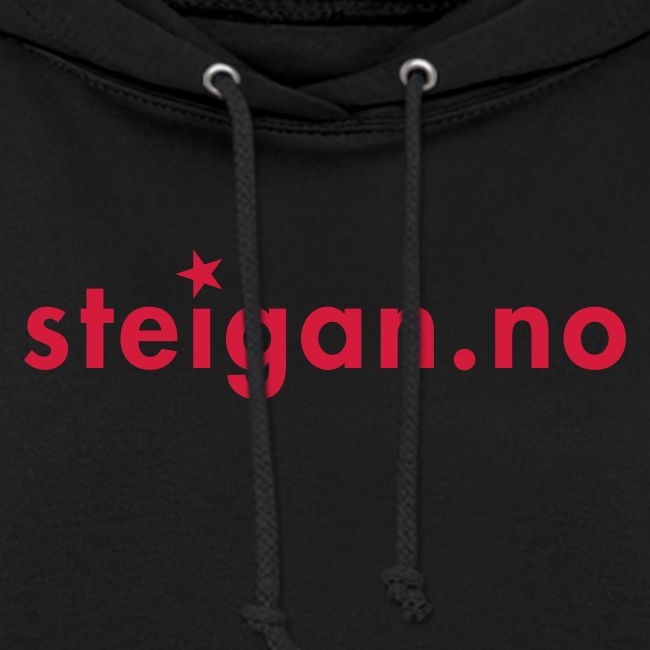 steigan.no logo