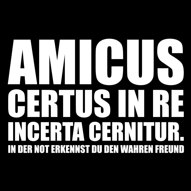 Amicus Certus In Re Incerta Cernitur In