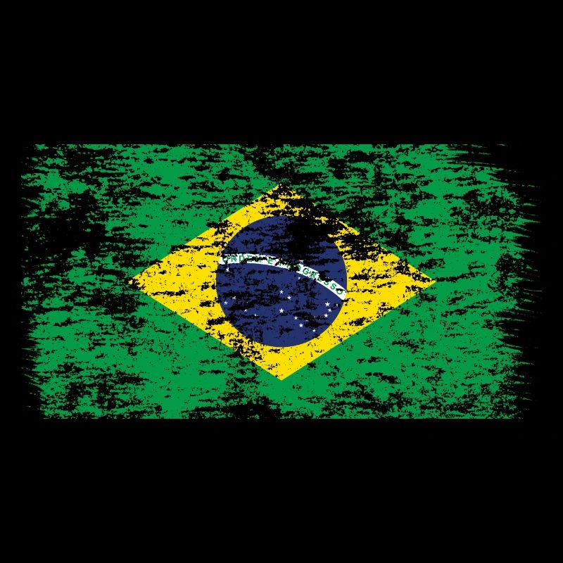 Drapeau du Brésil Drapeau de l’Amérique du Sud
