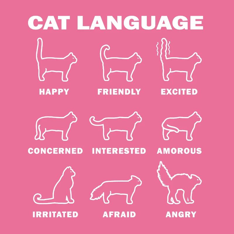 Sprache der Katzen