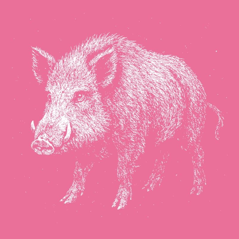 Wildschwein