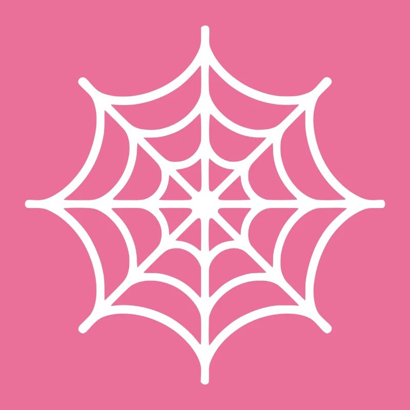 Spider Web Spider