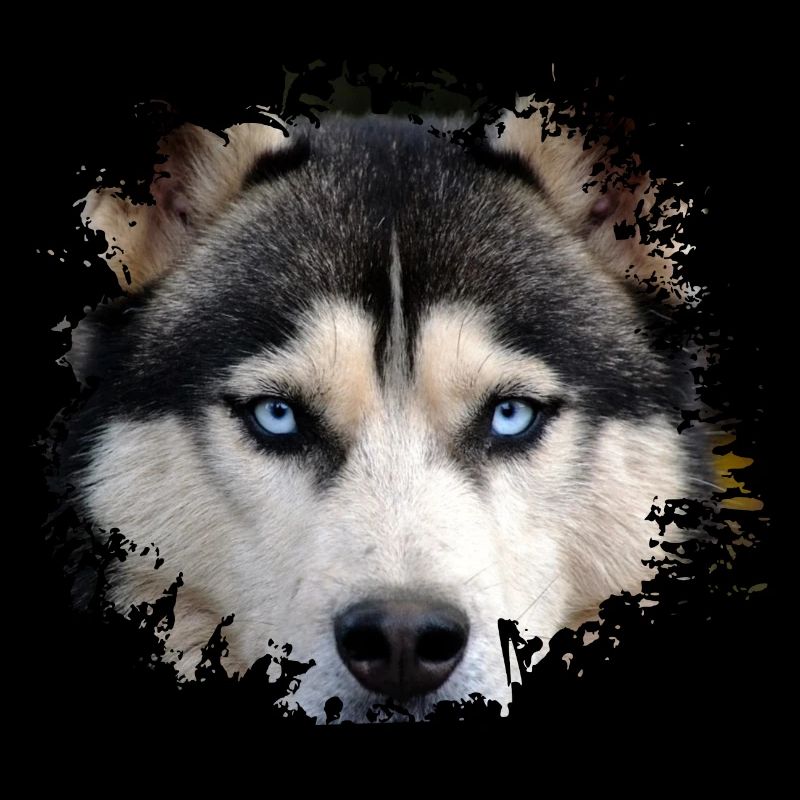Husky