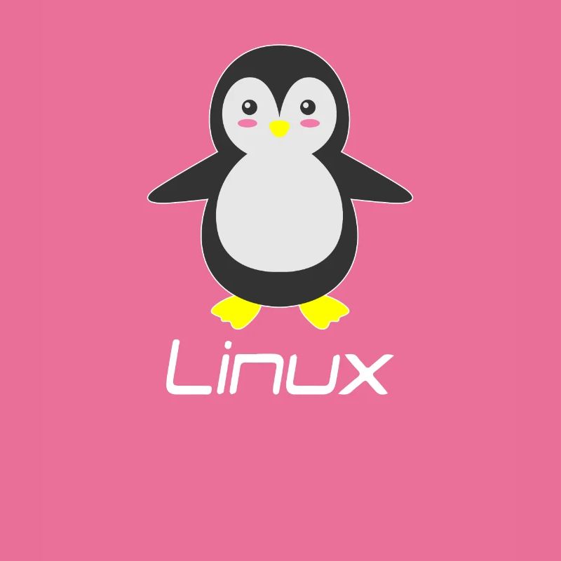 Geek Linux