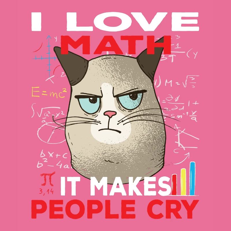 Cat Funny Math Gift I Love Math