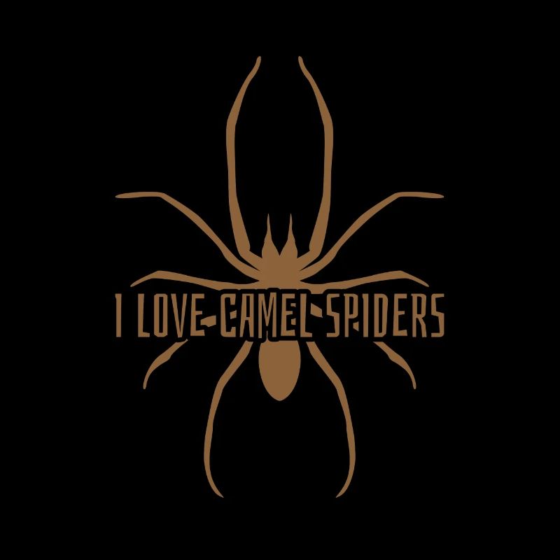 Spinnt Spinne ich liebe kamelspinnen camel spider