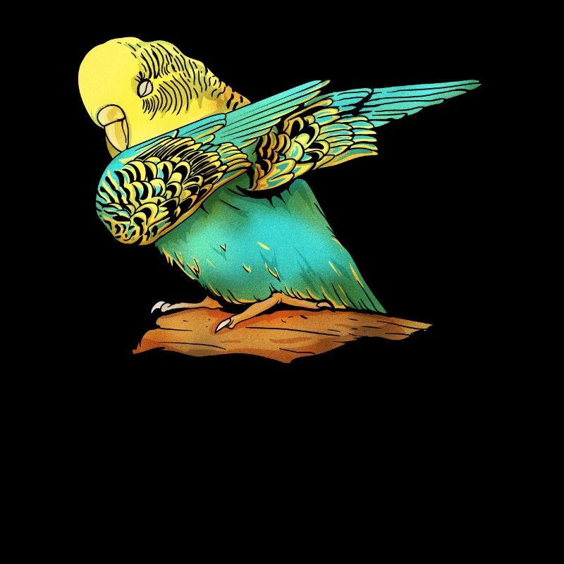 Perruche Perruche Perruche Oiseau Animal