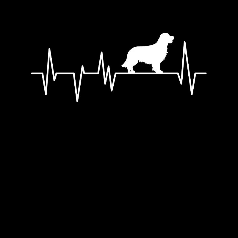 Haustier Hunde Hundebesitzer