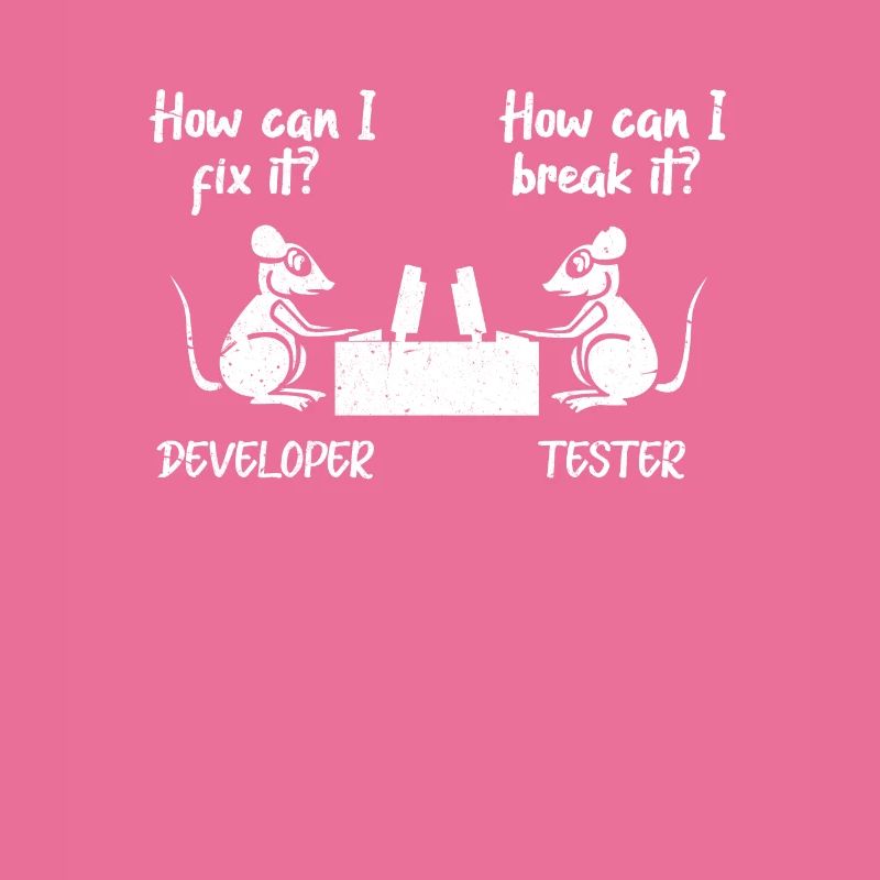 Softwareentwickler