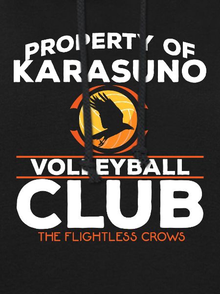Team Karasuno
