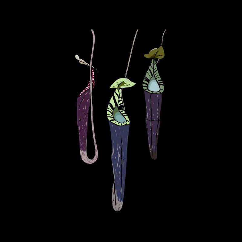 Carnivorous pitcher plant