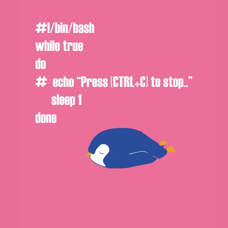 Cadeau drôle d'informaticien programmeur Linux