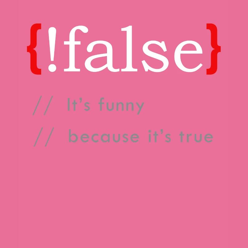 False It’s Funny Because It’s True Funny Programmi
