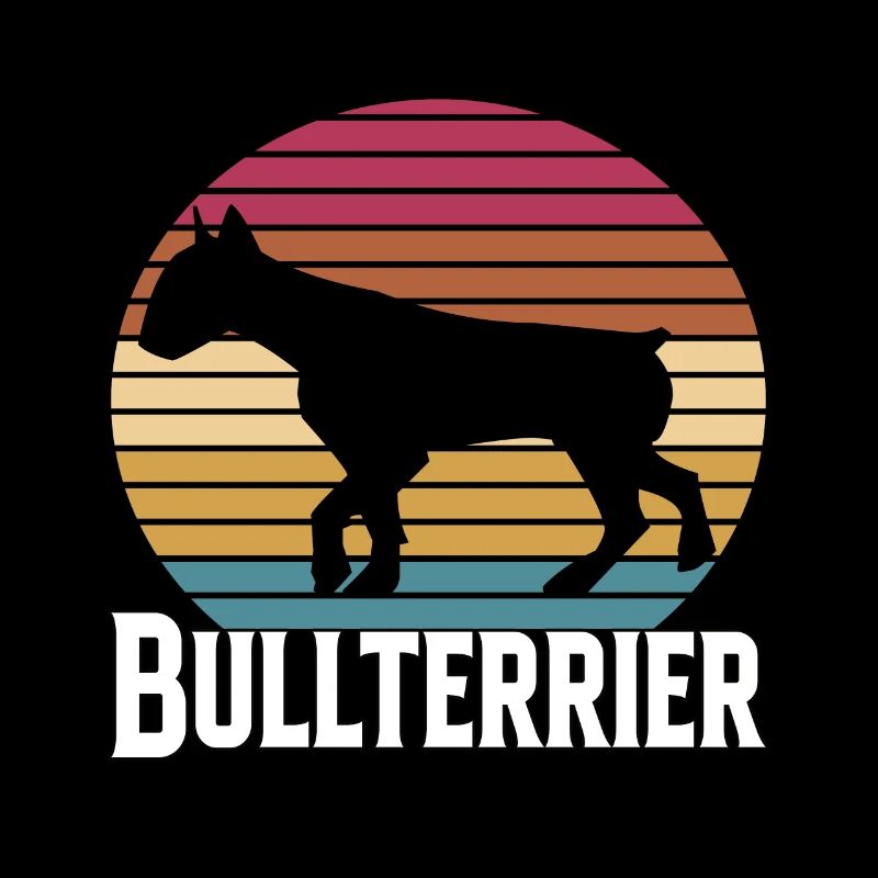 Bullterrier Hund