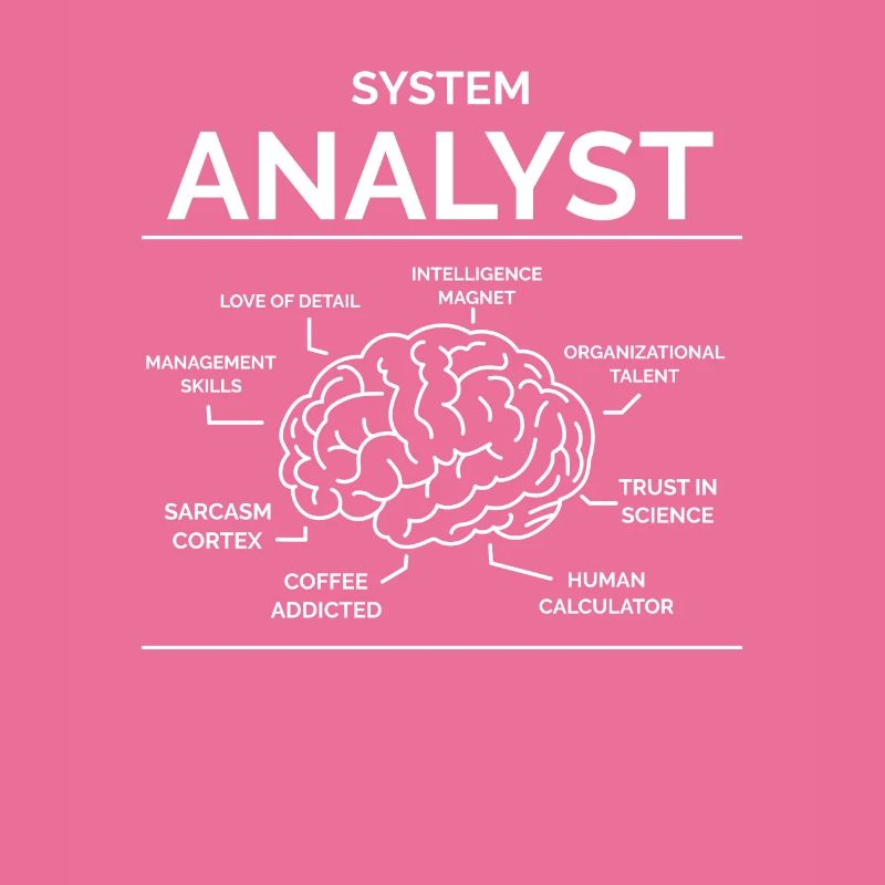 Analyste de systèmes
