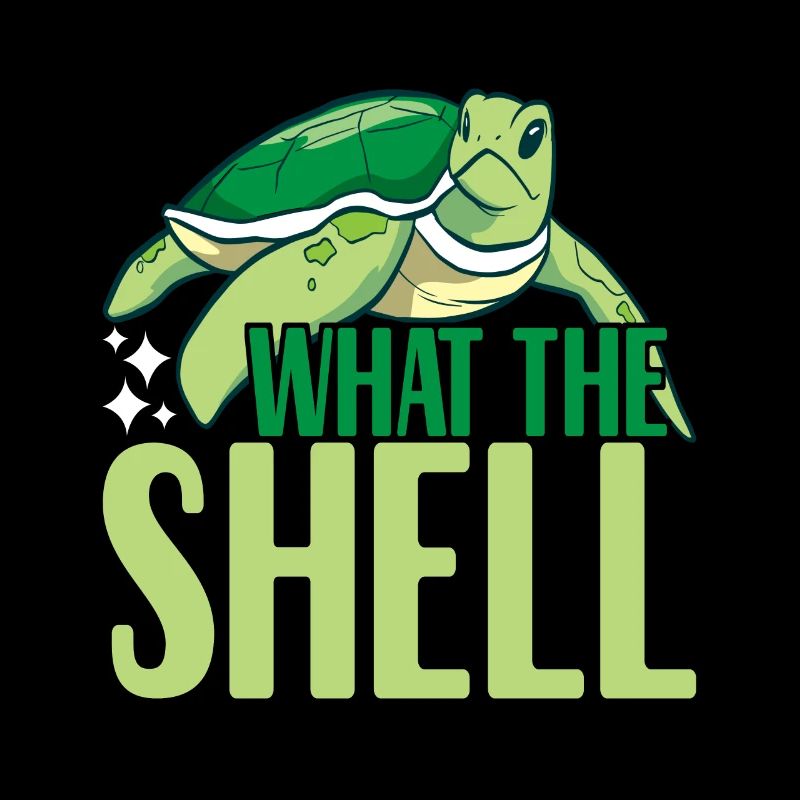 Turtle Turtle Aquatic turtle