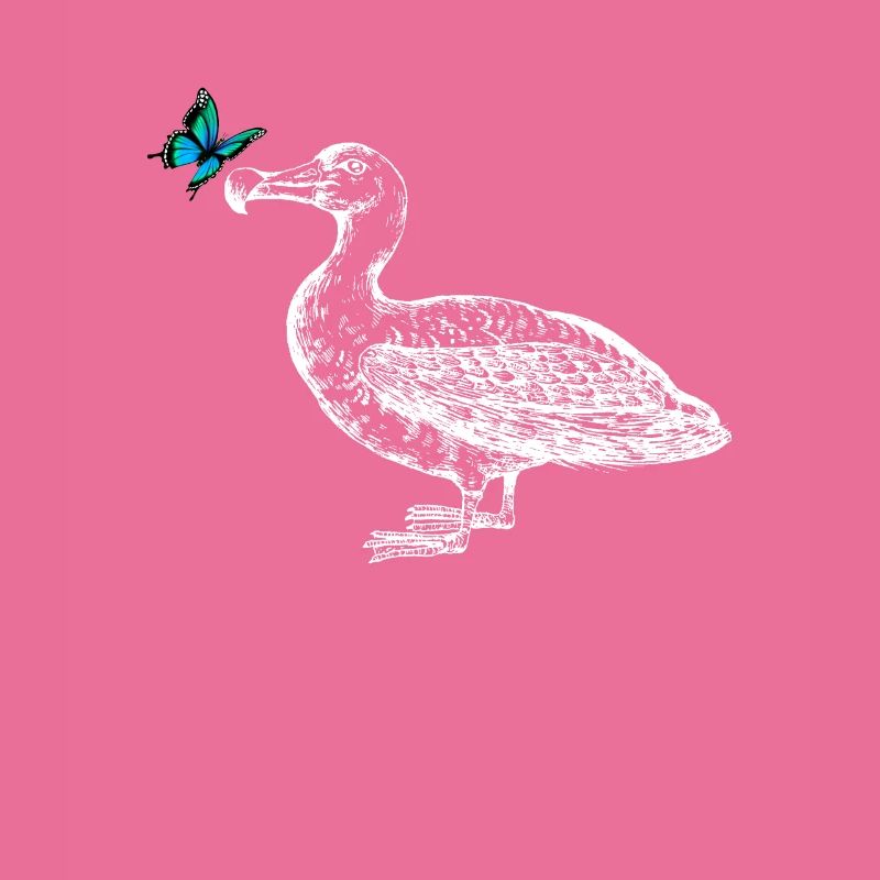 Seagull with butterfly