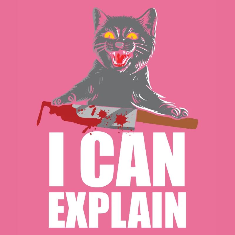 I Can Explain