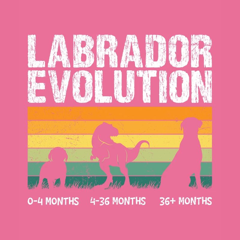 Labrador EVOLUTION Labrador Liebhaber Lustiges