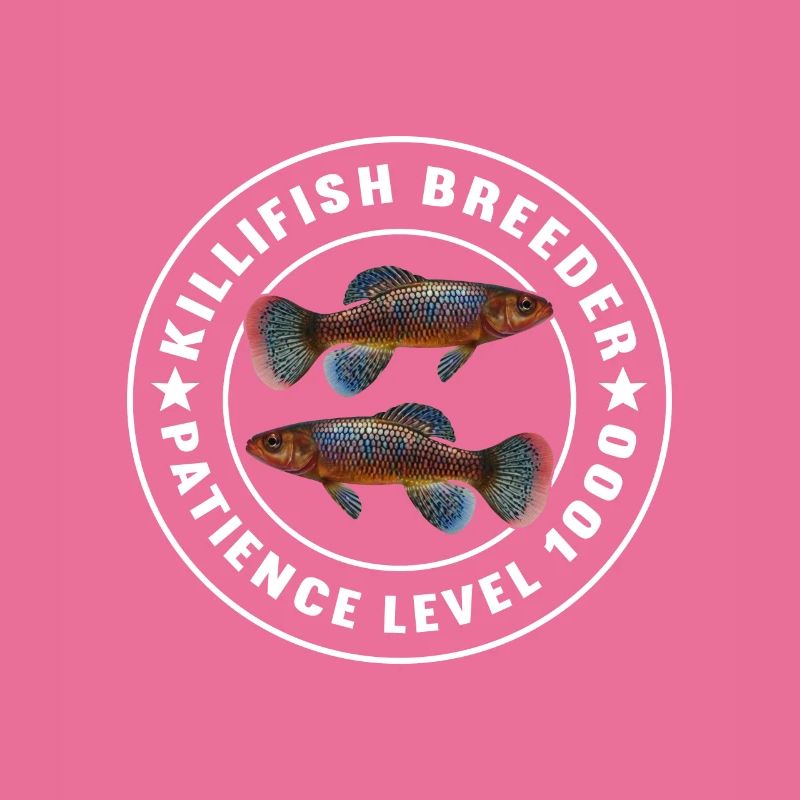 Killifish Quarium Fish