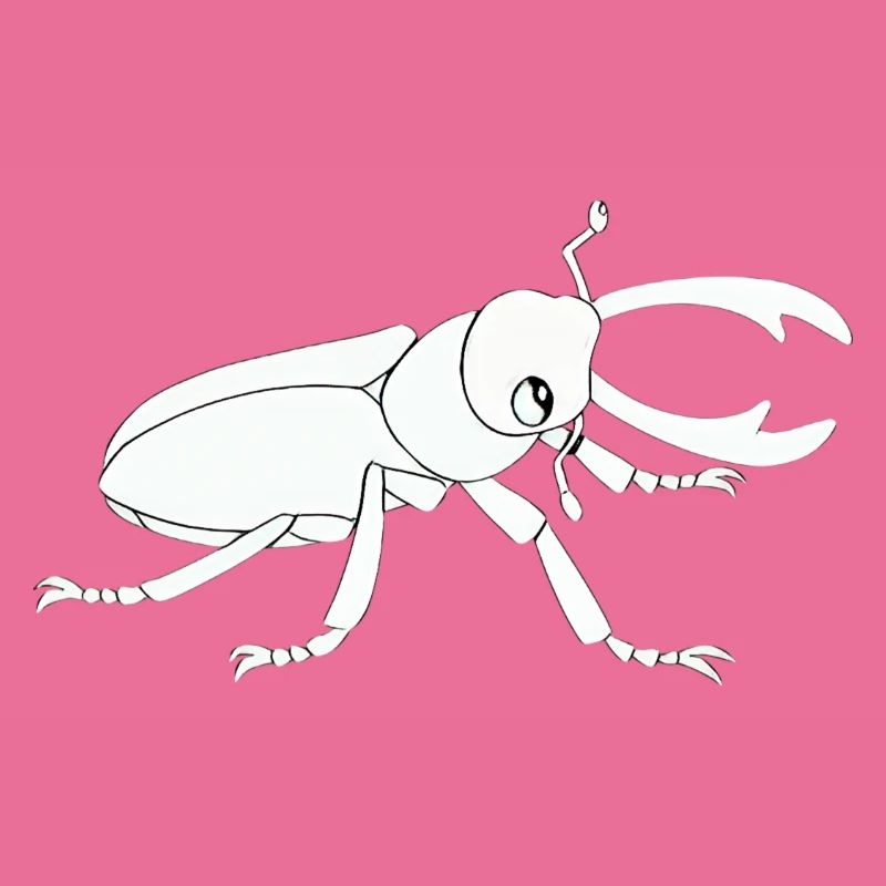 Insecte