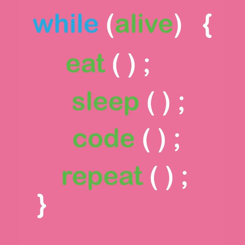 Développeur de logiciels de codage Python