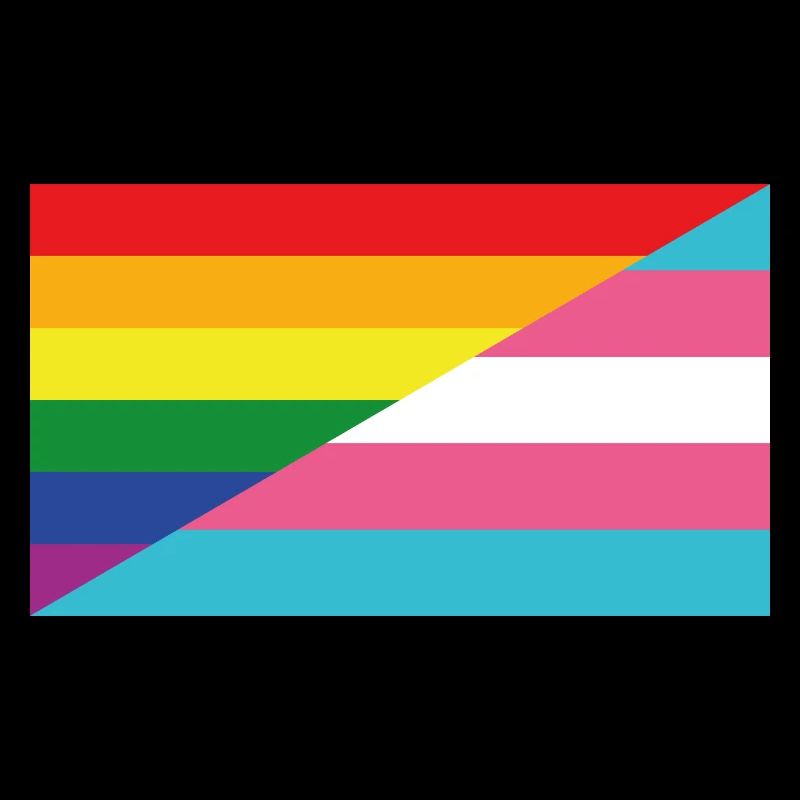 Drapeau Rainbow-Trans*