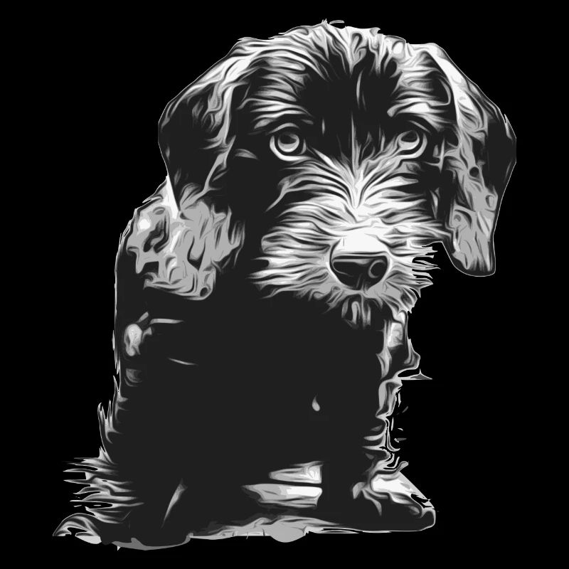 Beau chiot teckel à poil dur