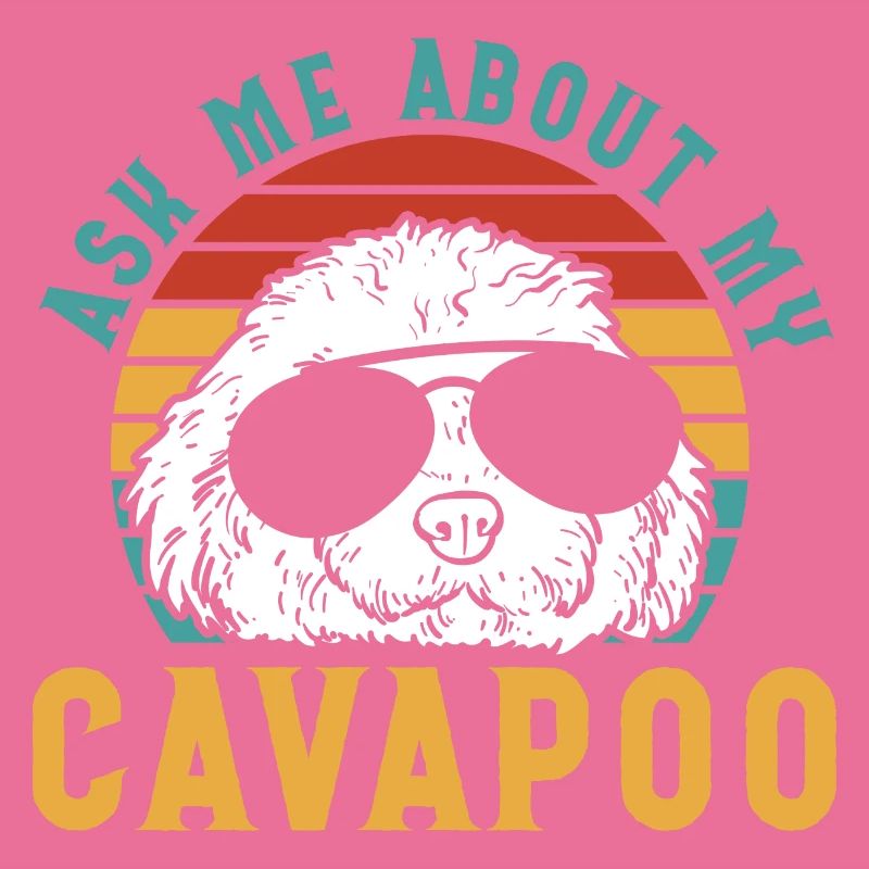 Cavapoo Cavoodle Capoodle Chien