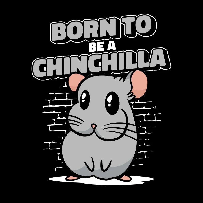 Né pour être un chinchilla à queue courte longue queue