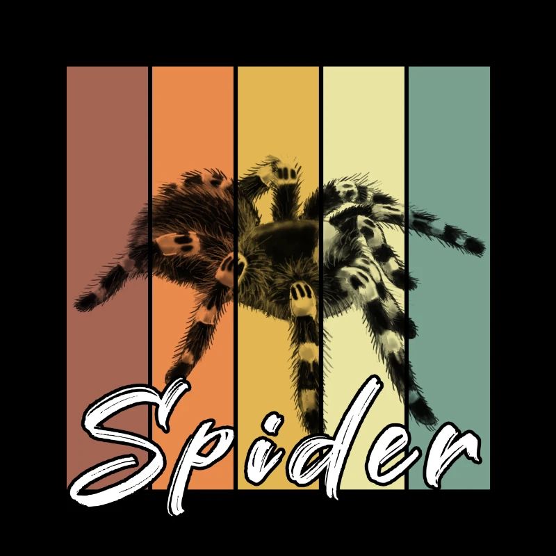 Spinne
