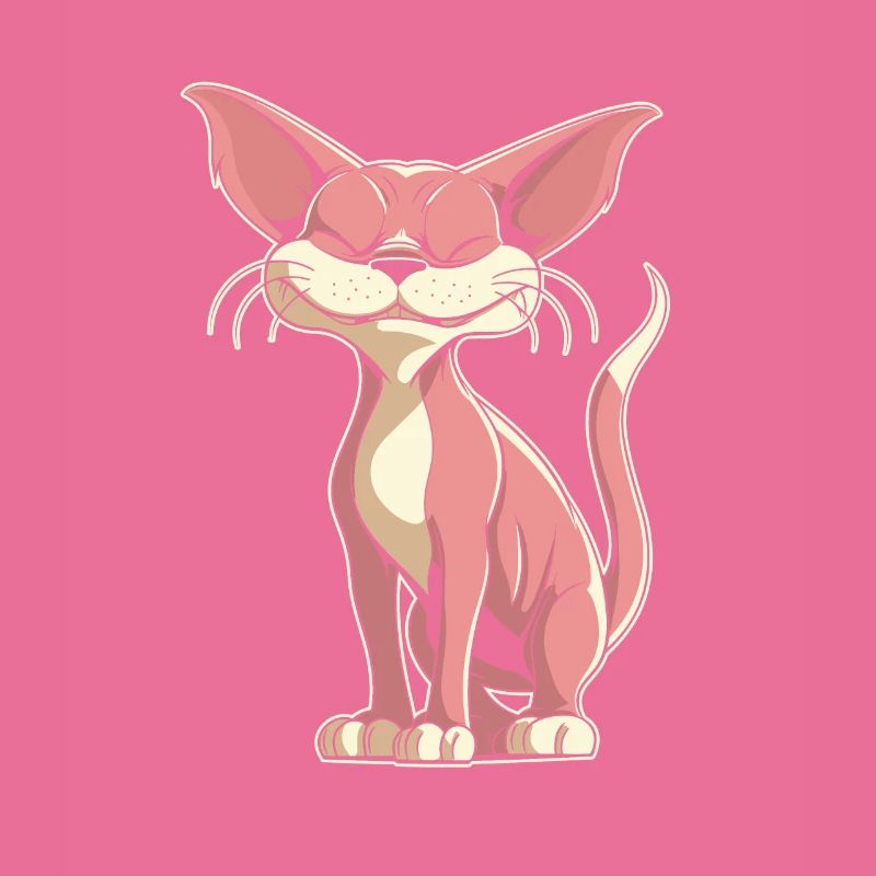 Chat Sphynx Drôle