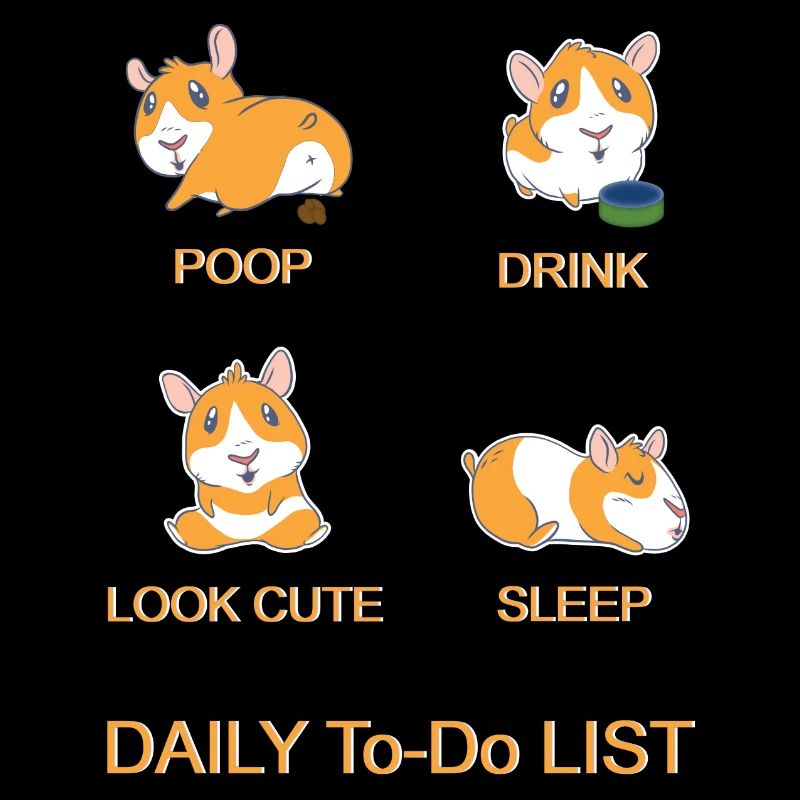 Liste des choses à faire pour les cochons d'Inde - Cochon d'Inde