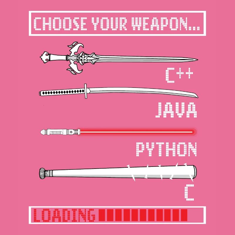 Programmeur cadeau Java C programmation